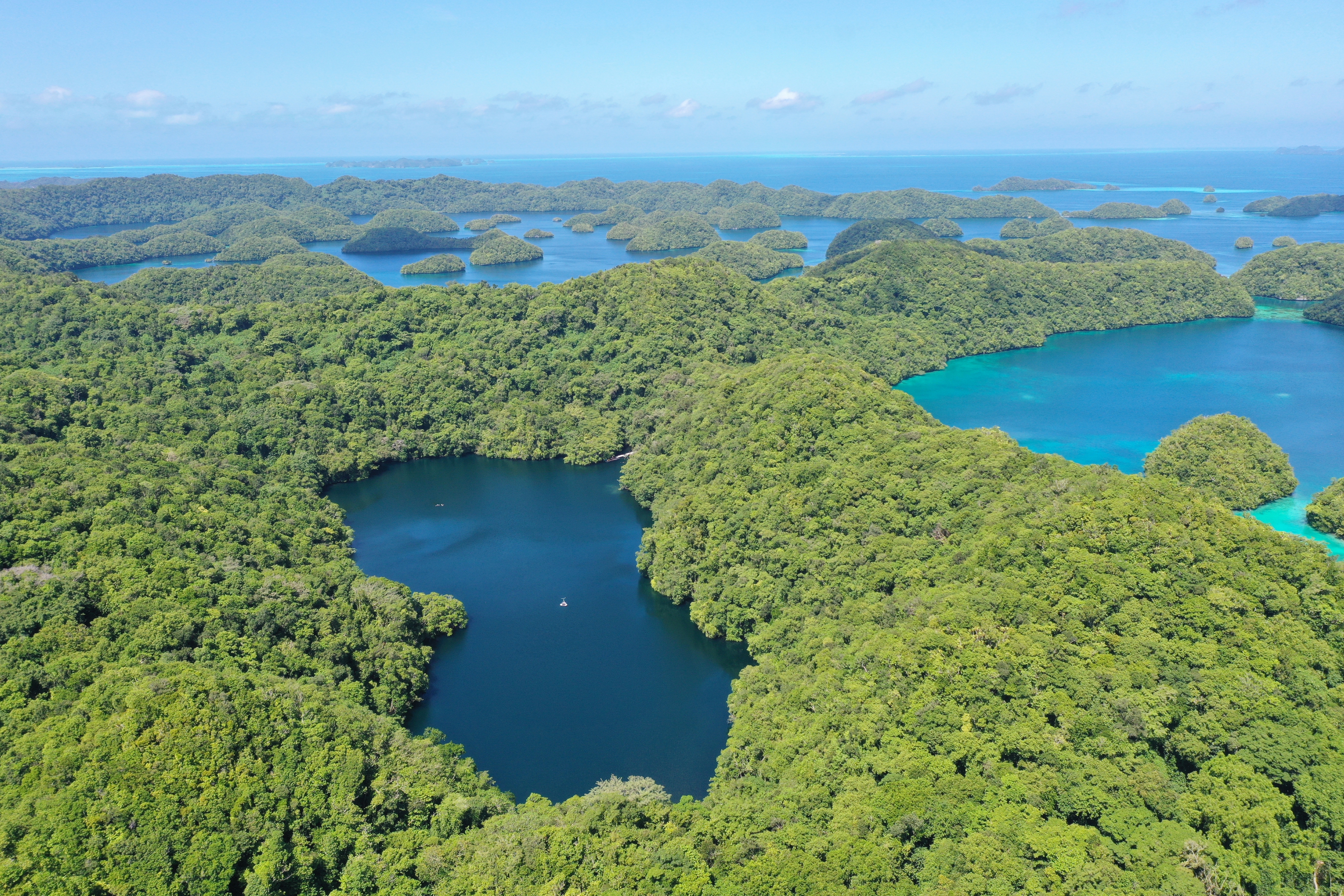 aerial view of jellyfish lake in palau