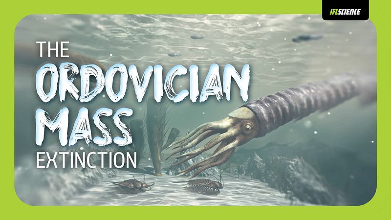 an organism from the Ordovician time