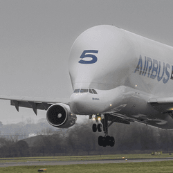 Airbus BelugaST lands under the grey UK skies on January 29, 2026. Image credit: Airbus