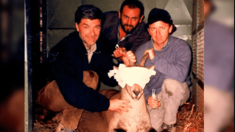 April 20, 1999: Juan Seijas (left) and Alberto Fernández-Arias (right). "Celia" is anesthetized, with eyes protected. Ordesa and Monte Perdido National Park. 