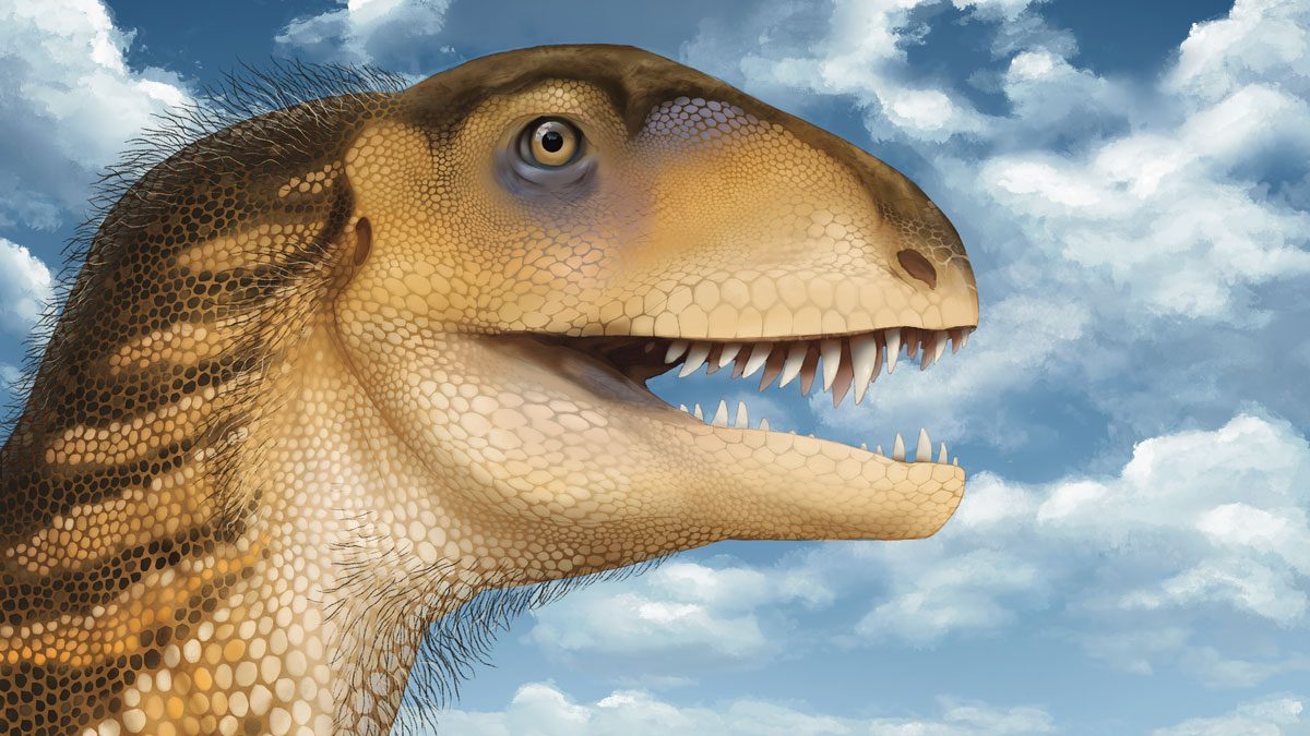 Look we admit we were hoping for something more muppet-like from this artist's reconstruction of Ptychotherates bucculentus, but if you imagine a hand inside there it sort of works Look we admit we were hoping for something more muppet-like from this artist's reconstruction of Ptychotherates bucculentus, but if you imagine a hand inside there it sort of works